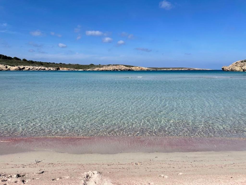 Apartamento Brisa De Menorca ซอนปาร์ก ภายนอก รูปภาพ