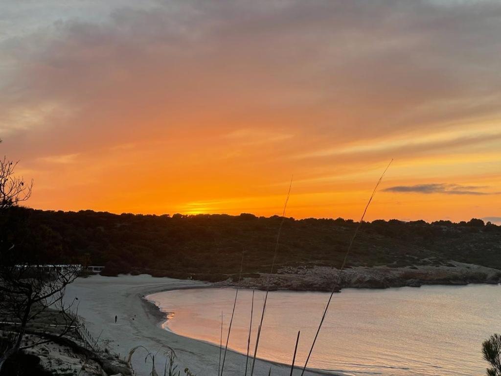 Apartamento Brisa De Menorca ซอนปาร์ก ภายนอก รูปภาพ